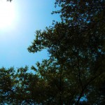 s_20030503_12 s_20030503_12