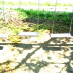 s_20030503_14 s_20030503_14