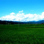 s_20030728_02 s_20030728_02